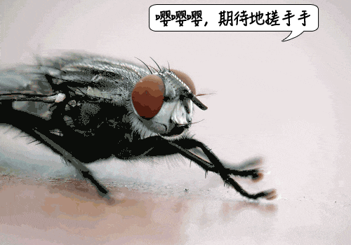 1704337261656701.jpg bb1f8554add18b548679807358da25bd.jpg