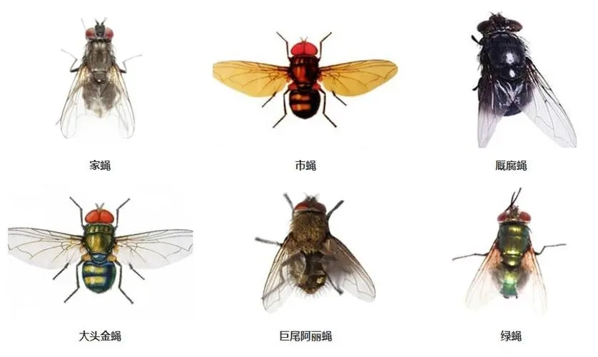 1704337300853868.png 394bade464219b595cd3c108d7cc38ad.png