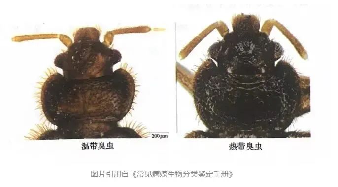 1704686351314543.jpg 1704686351314543.jpg