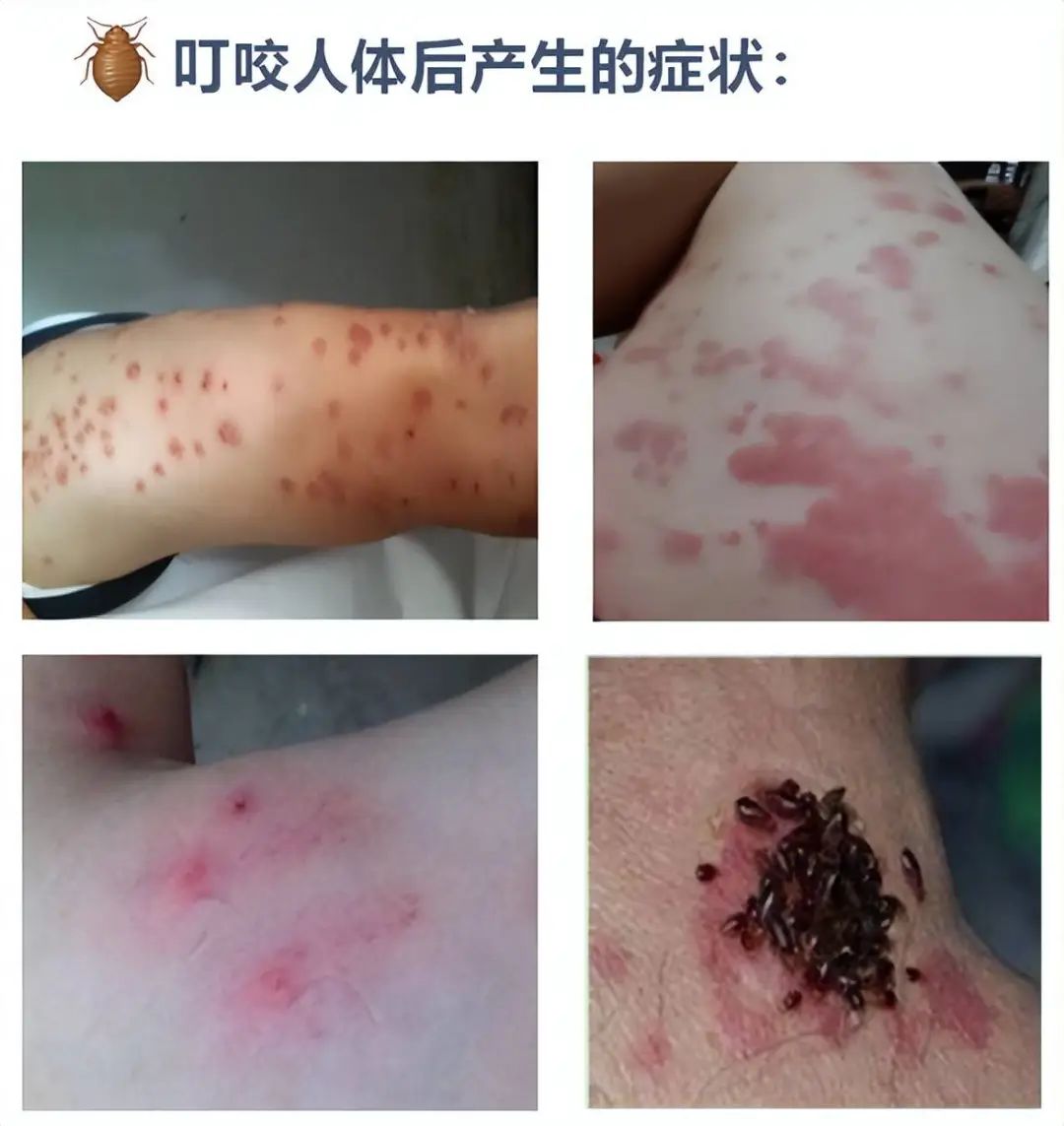 1704686443606012.jpg 1704686443606012.jpg