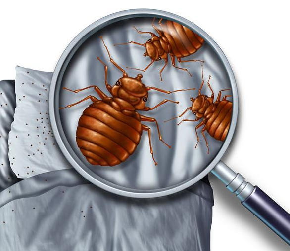 1704685874811568.png 1704685874811568.png